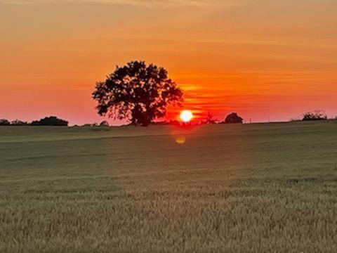 Les Cypres De Crose I Βίλα Badefols-sur-Dordogne Εξωτερικό φωτογραφία