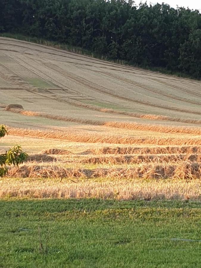 Les Cypres De Crose I Βίλα Badefols-sur-Dordogne Εξωτερικό φωτογραφία