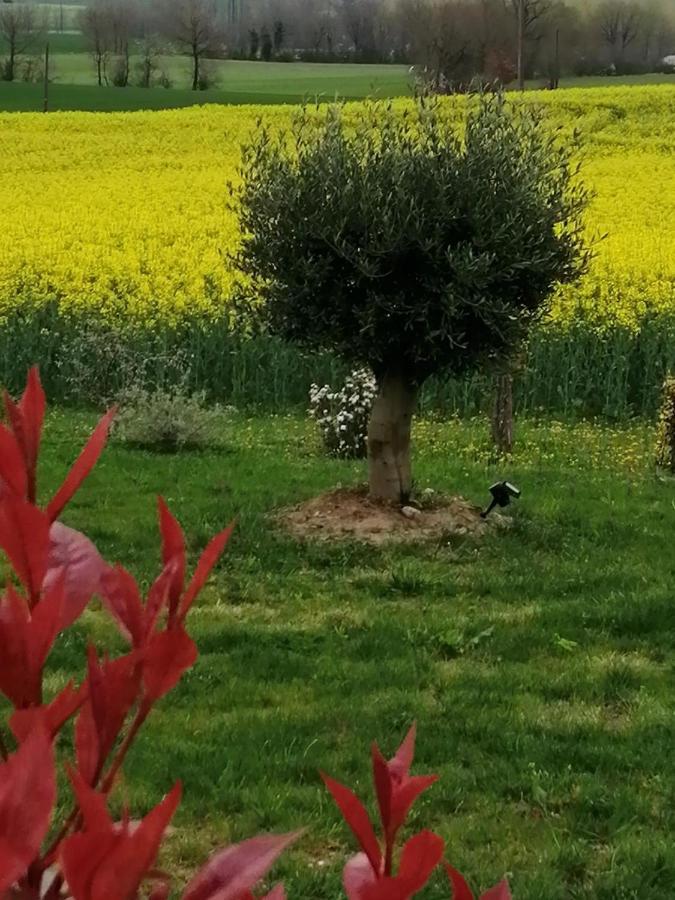 Les Cypres De Crose I Βίλα Badefols-sur-Dordogne Εξωτερικό φωτογραφία